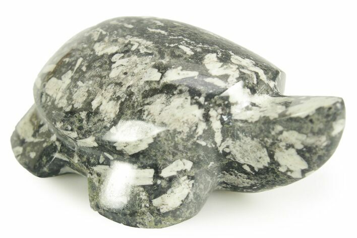 Polished Chinese Writing Rock Turtle - Utah #366758